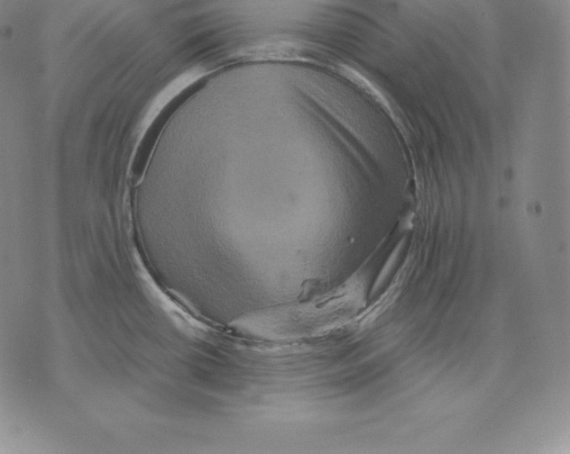 X0000075861434200610151624