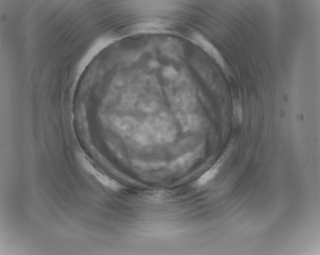 X0000075861435200610151624