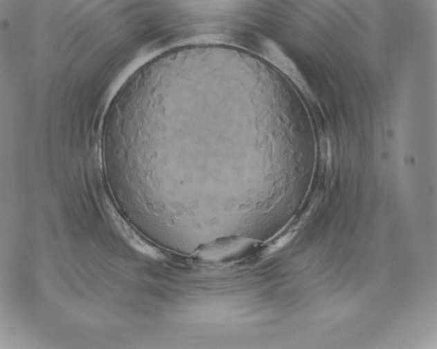 X0000075861436200610151624