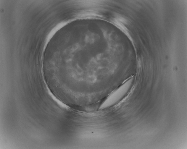 X0000075861437200610151624