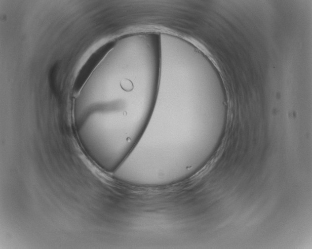 X0000075861438200610151624