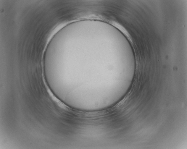 X0000075861439200610151624