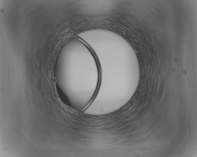 X0000075861441200610151623