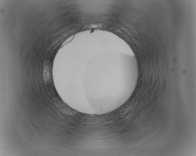 X0000075861442200610151623