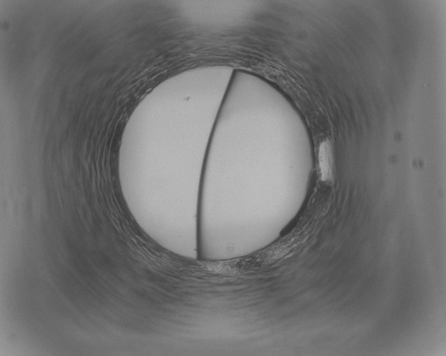 X0000075861443200610151623