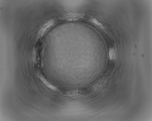 X0000075861444200610151623