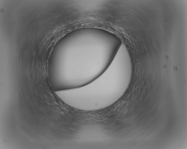 X0000075861445200610151623