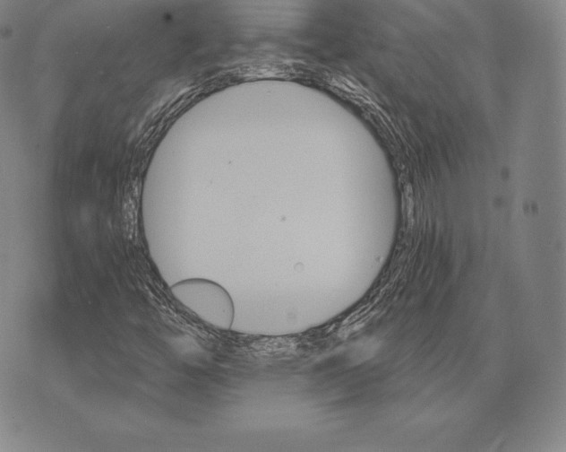 X0000075861446200610151623