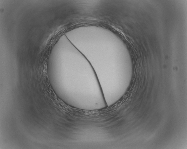 X0000075861447200610151623