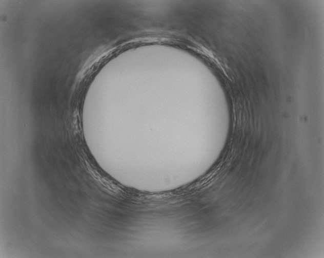 X0000075861448200610151623