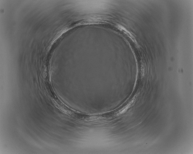 X0000075861449200610151623