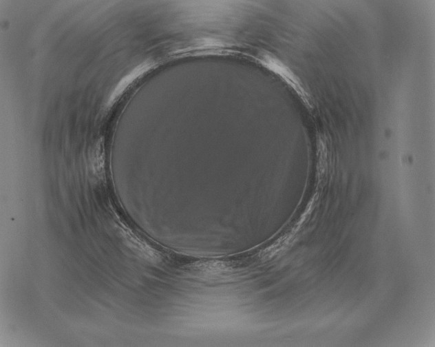 X0000075861450200610151623