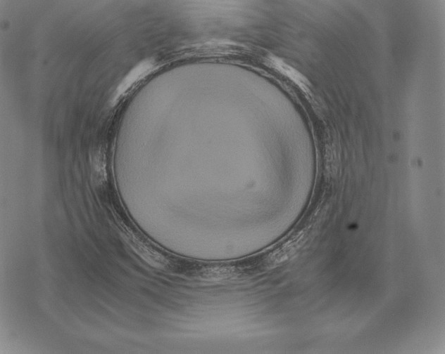 X0000075861451200610151623