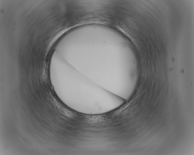 X0000075861452200610151623