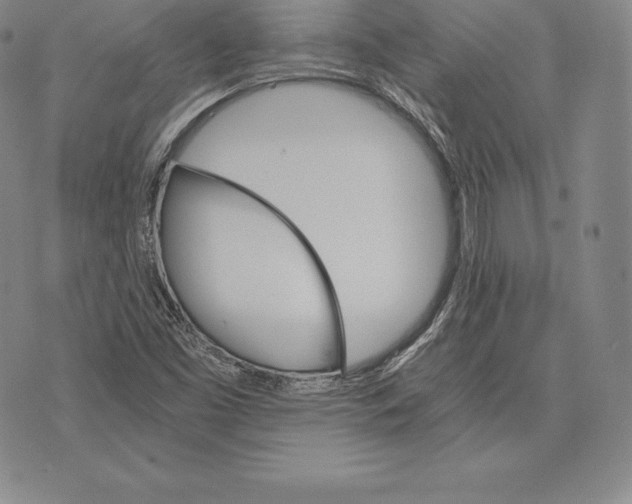 X0000075861453200610151623