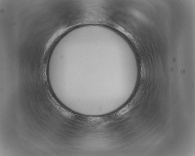 X0000075861454200610151623