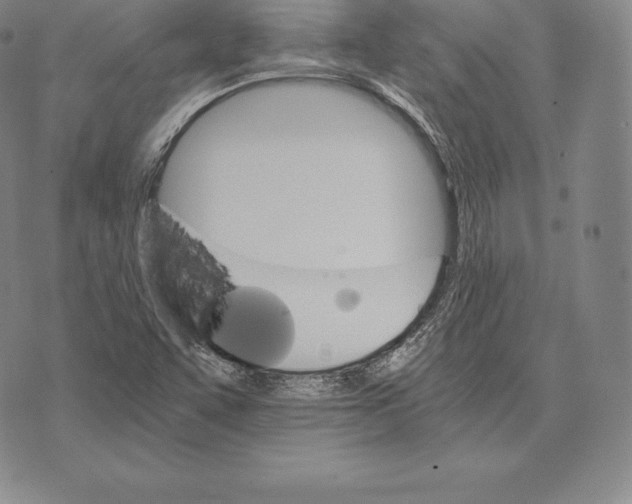 X0000075861455200610151623