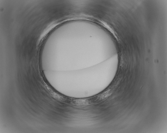 X0000075861456200610151623