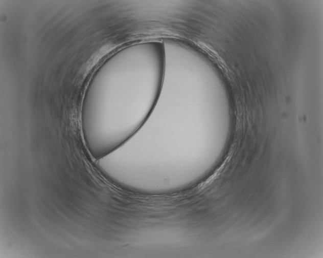 X0000075861457200610151623