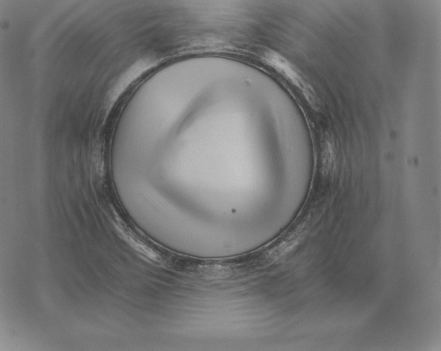 X0000075861458200610151623