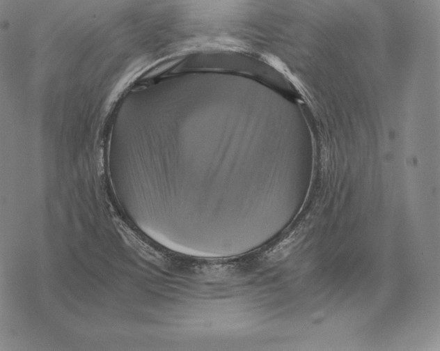 X0000075861459200610151623