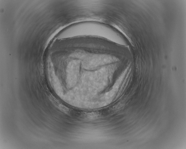 X0000075861460200610151623