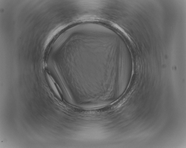 X0000075861461200610151623