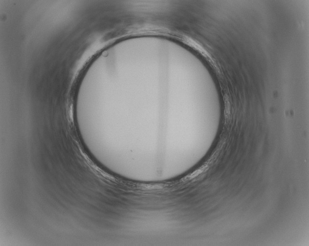 X0000075861462200610151623