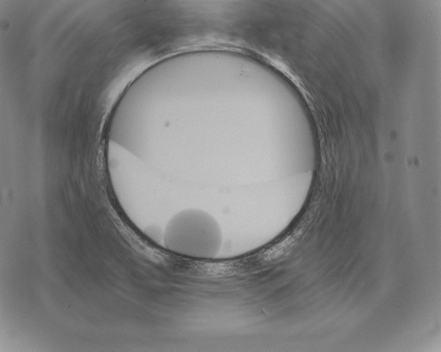 X0000075861463200610151623