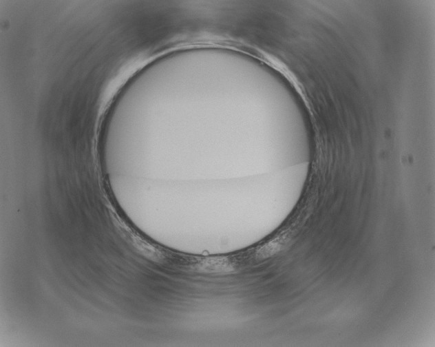 X0000075861464200610151623