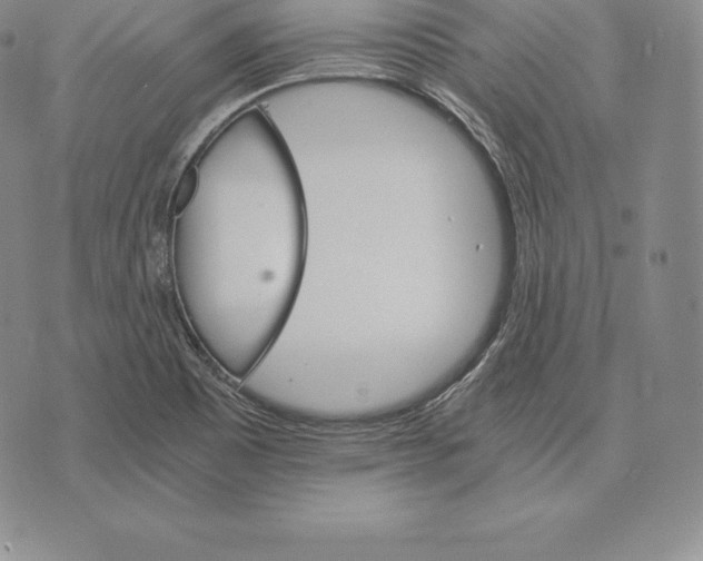 X0000075861465200610151623