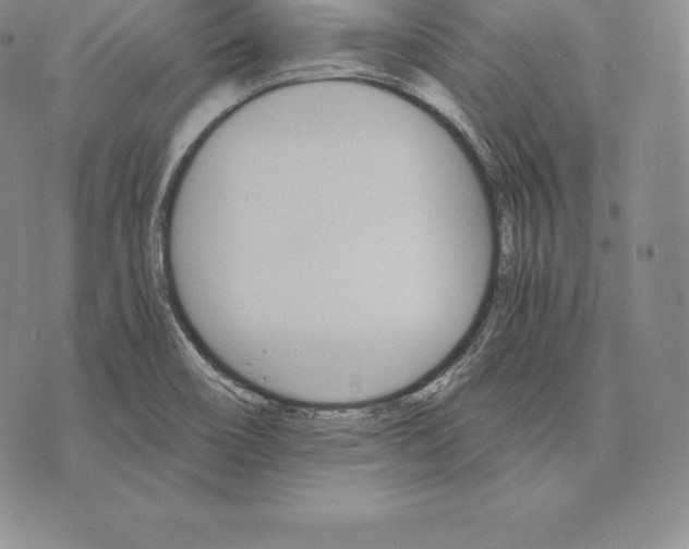 X0000075861466200610151623