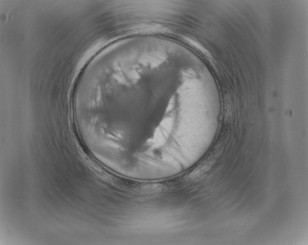 X0000075861467200610151623