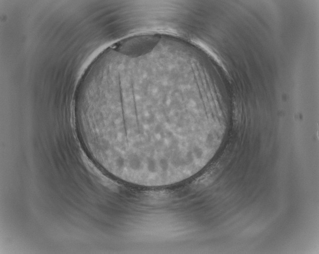 X0000075861468200610151623