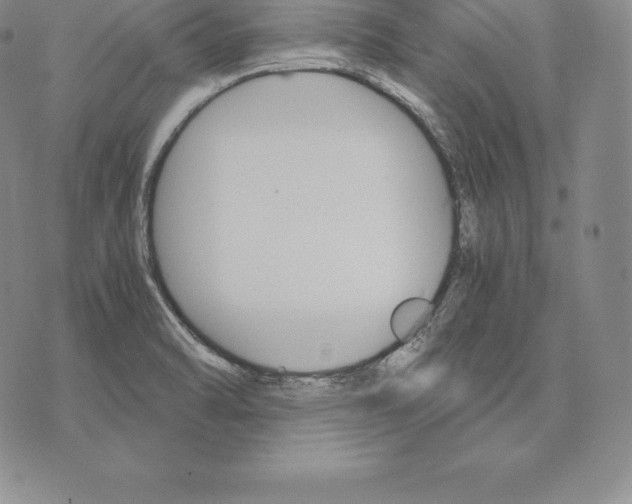 X0000075861470200610151623