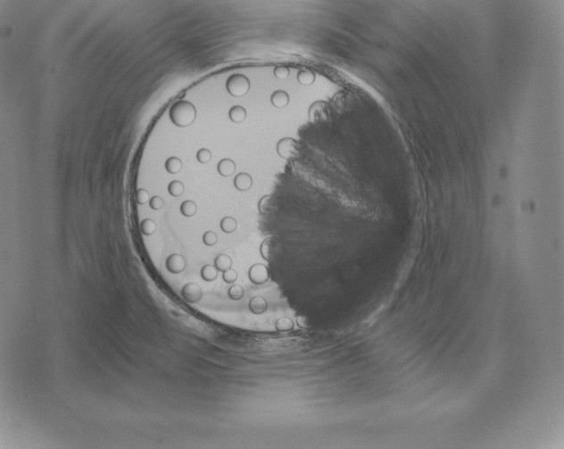 X0000075861471200610151623