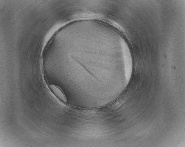 X0000075861472200610151623