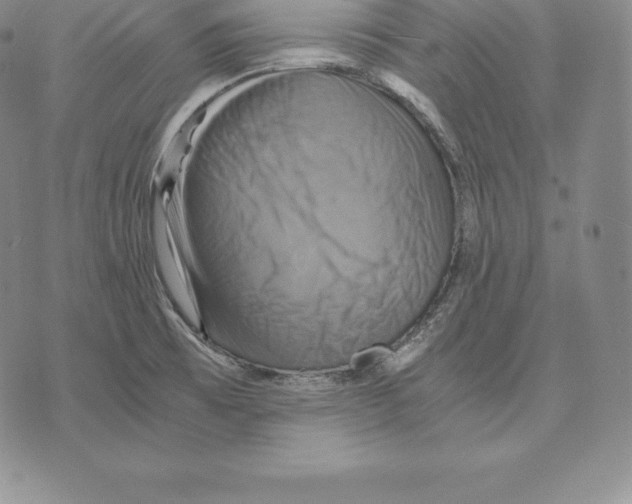 X0000075861473200610151623