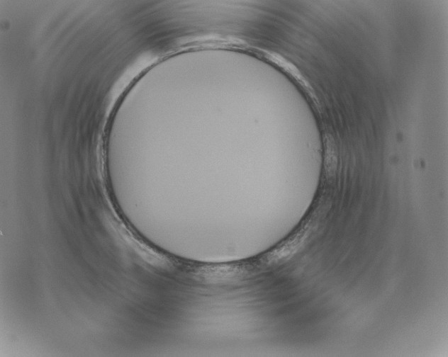 X0000075861474200610151623