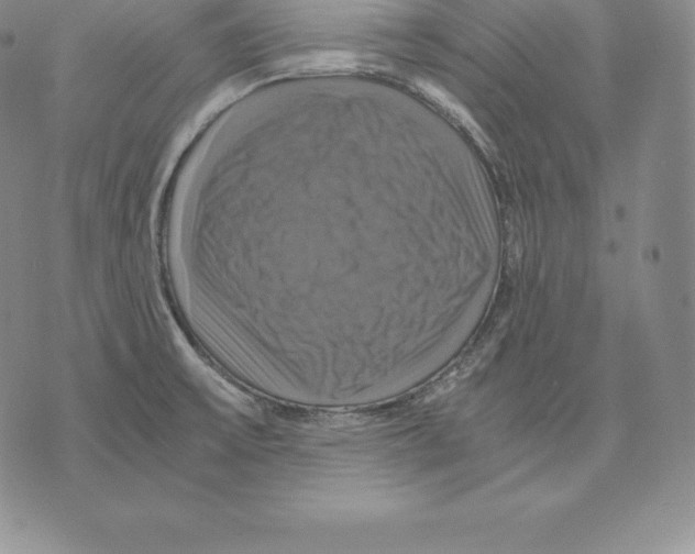 X0000075861475200610151623