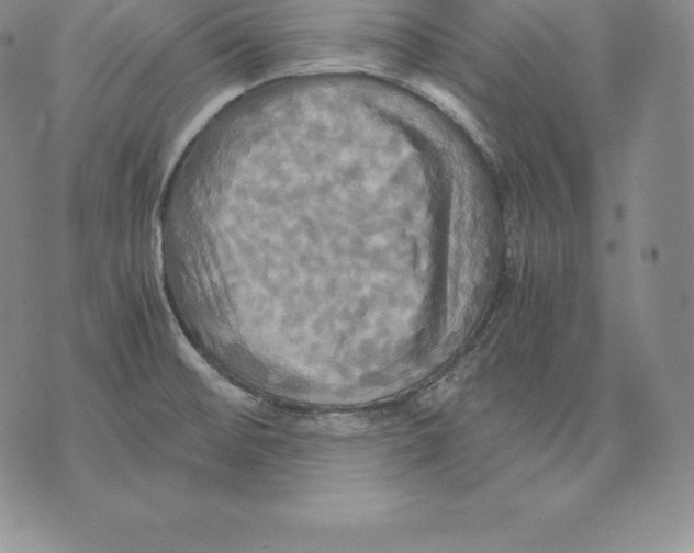 X0000075861476200610151623