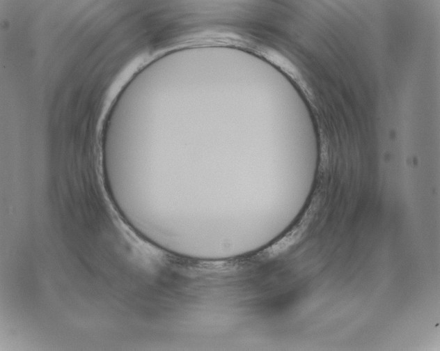 X0000075861478200610151623