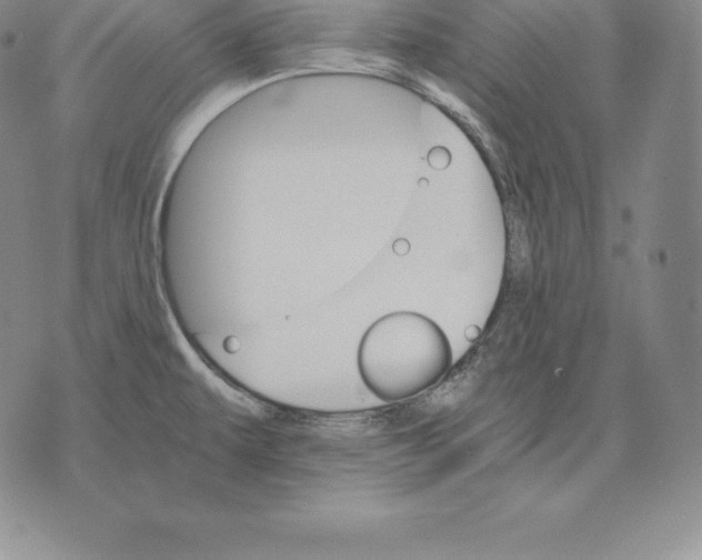 X0000075861479200610151623