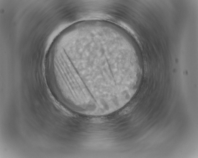 X0000075861480200610151623