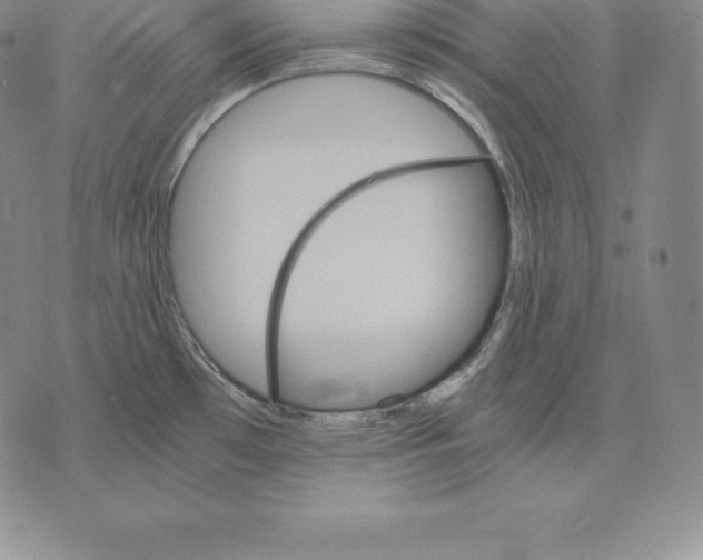 X0000075861481200610151623