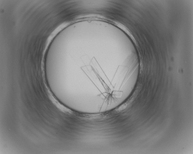 X0000075861482200610151623