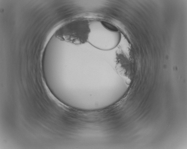 X0000075861483200610151623