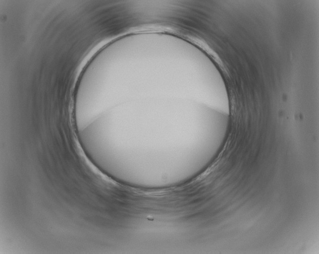 X0000075861484200610151623