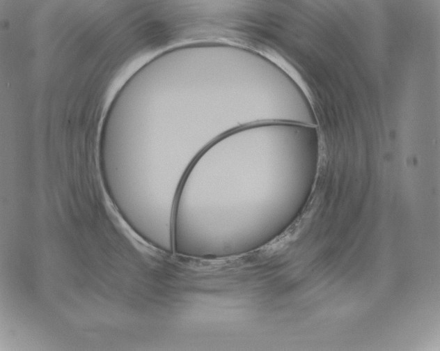 X0000075861485200610151623