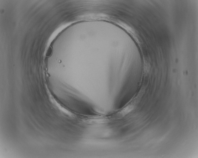 X0000075861486200610151622